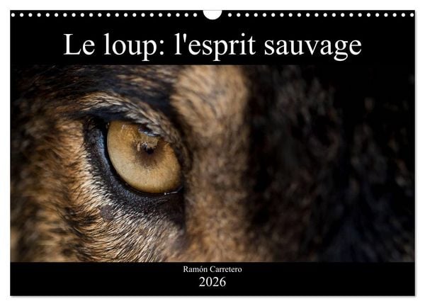 Produktbild: Le loup: l'esprit sauvage (Calendrier mural 2026 DIN A3 vertical), CALVENDO calendrier mensuel