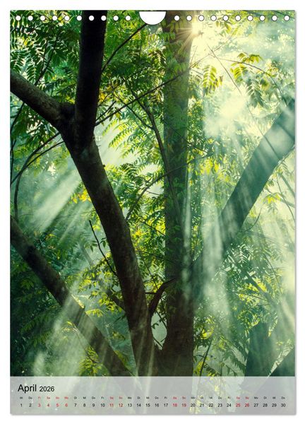 Produktbild: MADAGASKAR: Baobabs, Lemuren, Naturwunder (Wandkalender 2026 DIN A4 hoch), CALVENDO Monatskalender