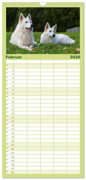 Produktbild: Familienplaner 2026 - Wei&szlig;er Schweizer Sch&auml;ferhund - Ein Tag im Leben einer Hundefamilie mit 5 Spalten (Wandkalender, 21 x 45 cm) CALVENDO