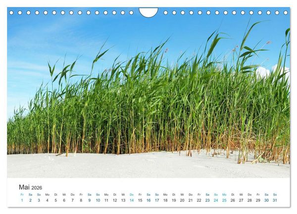 Produktbild: Deutsche K&uuml;ste - Nordsee und Ostsee (Wandkalender 2026 DIN A4 quer), CALVENDO Monatskalender