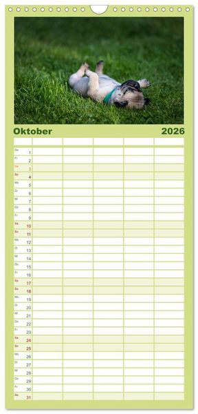 Produktbild: Familienplaner 2026 - Mopswelpen mit 5 Spalten (Wandkalender, 21 x 45 cm) CALVENDO