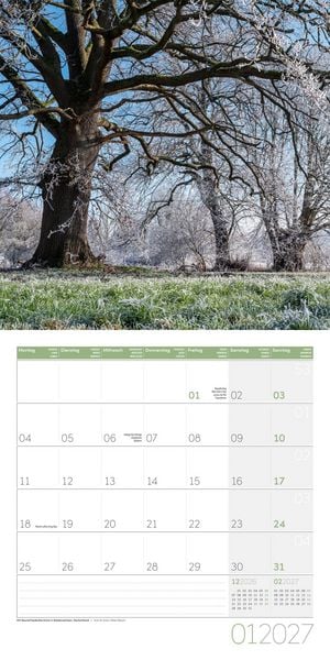 Produktbild: B&auml;ume Kalender 2027 - 30x30 - Art12