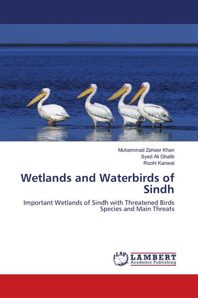 Produktbild: Wetlands and Waterbirds of Sindh
