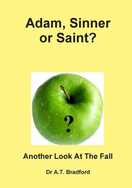 Produktbild: Adam - Sinner or Saint? Another Look at the Fall