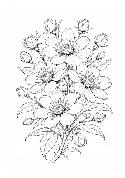 Produktbild: Blumen Malbuch f&uuml;r Erwachsene mit 50 sch&ouml;nen Ausmalmotiven