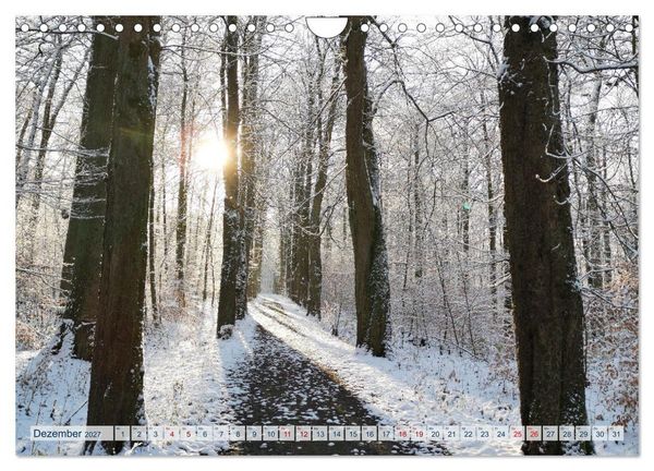Produktbild: Magisches Ostholstein (Wandkalender 2027 DIN A4 quer), CALVENDO Monatskalender