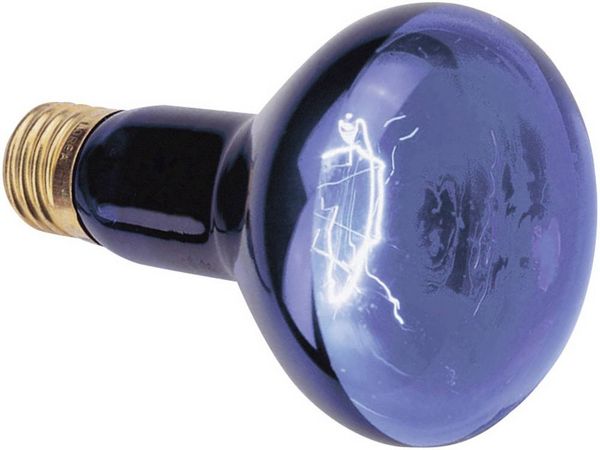 Produktbild: Omnilux R80 230V UV-Lampe E27 75 W