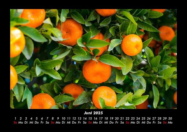 Produktbild: Obstkalender 2025 Fotokalender DIN A3