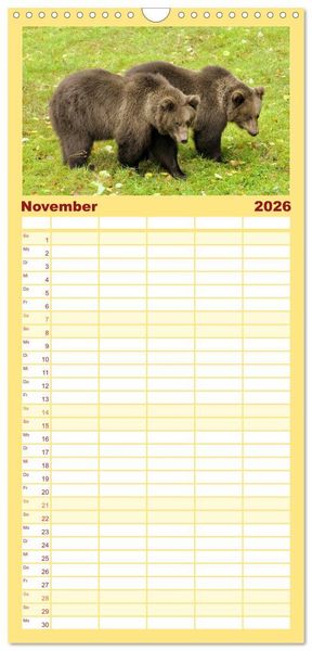 Produktbild: Familienplaner 2026 - Nachwuchs in der Tierwelt mit 5 Spalten (Wandkalender, 21 x 45 cm) CALVENDO
