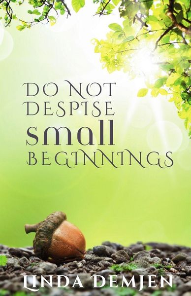 Produktbild: Do Not Despise Small Beginnings