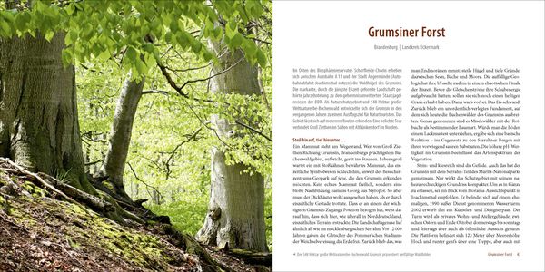 Produktbild: Deutschlands alte Buchenw&auml;lder