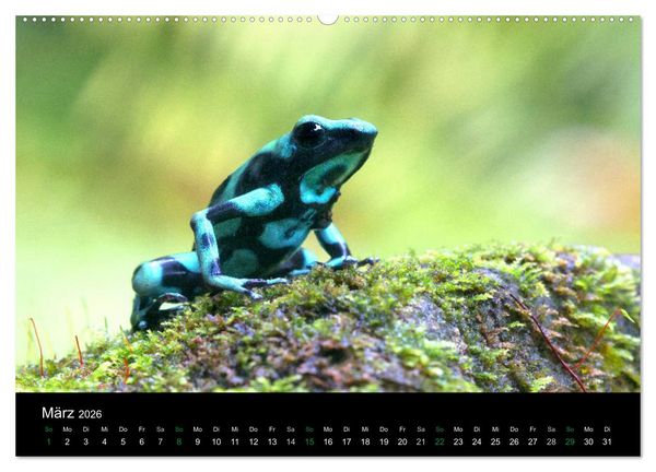 Produktbild: Costa Rica - Faszination Fr&ouml;sche (hochwertiger Premium Wandkalender 2026 DIN A2 quer), Kunstdruck in Hochglanz