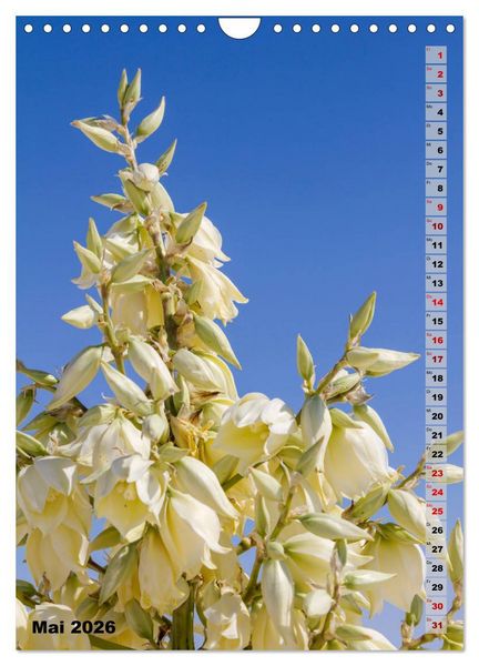 Produktbild: WHITE SANDS NATIONAL MONUMENT W&uuml;stenimpressionen (Wandkalender 2026 DIN A4 hoch), CALVENDO Monatskalender