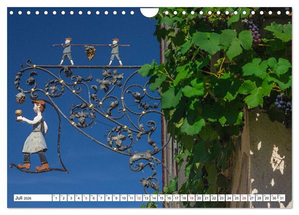 Produktbild: Dekorative Nasenschilder (Wandkalender 2026 DIN A4 quer), CALVENDO Monatskalender