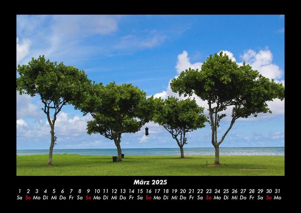 Produktbild: B&auml;ume 2025 Fotokalender DIN A3