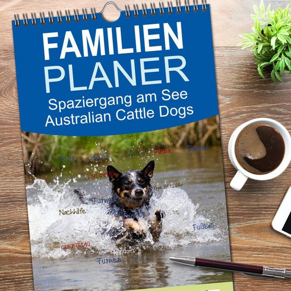 Produktbild: Familienplaner 2026 - Spaziergang am See Australian Cattle Dogs mit 5 Spalten (Wandkalender, 21 x 45 cm) CALVENDO
