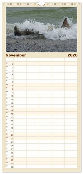 Produktbild: Familienplaner 2026 - Das Leben der Robben mit 5 Spalten (Wandkalender, 21 x 45 cm) CALVENDO