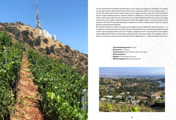 Produktbild: Atlas of urban vineyards