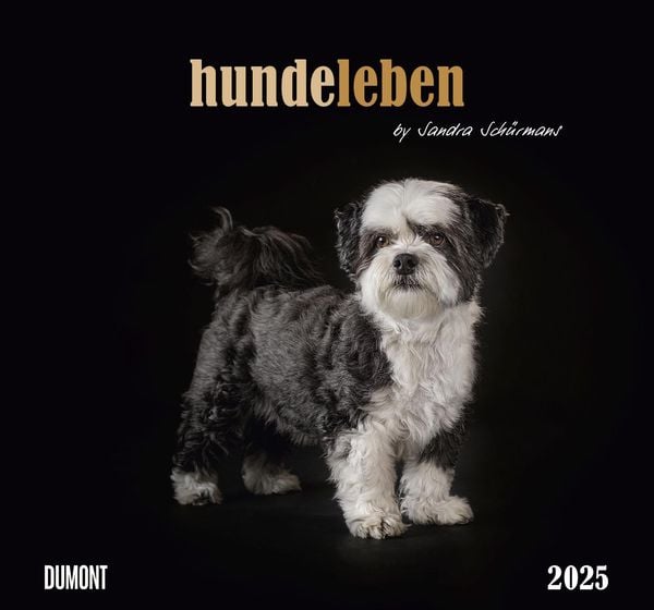 DUMONT – Hundeleben 2025 Wandkalender, 38x35,5cm, Foto-Kunst-Kalender mit charmanten Tiermotiven und Zitaten, by Sandra 