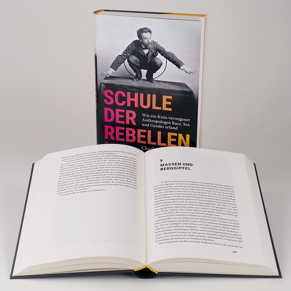 Produktbild: Schule der Rebellen