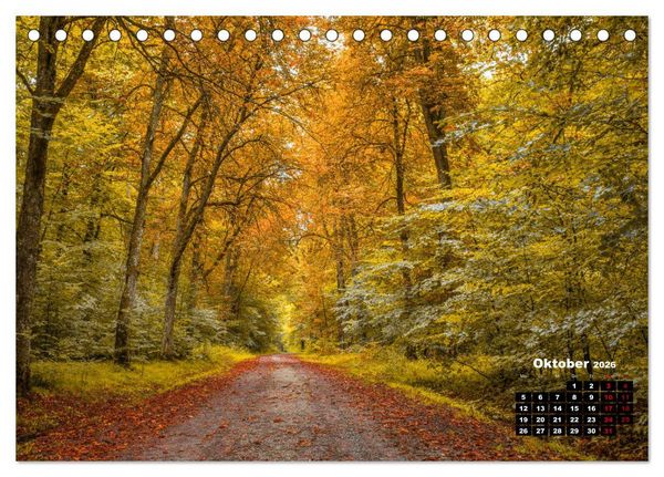 Produktbild: Rund um den Sch&ouml;nbuch (Tischkalender 2026 DIN A5 quer), CALVENDO Monatskalender