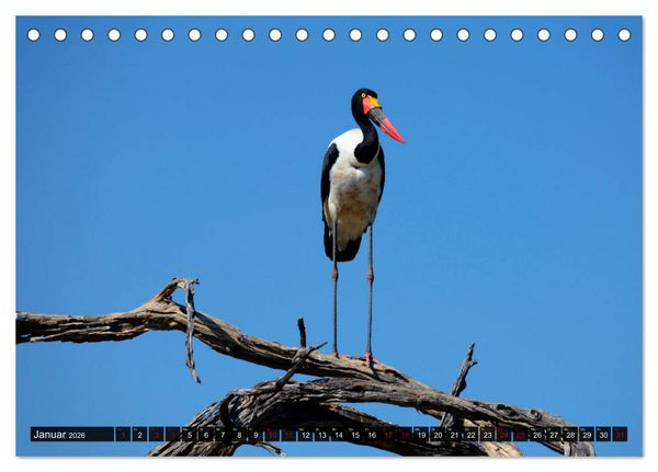 Produktbild: Faszination Botswana (Tischkalender 2026 DIN A5 quer), CALVENDO Monatskalender