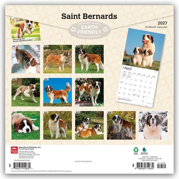 Produktbild: Saint Bernards &ndash; Bernhardiner 2027 &ndash; 16-Monatskalender