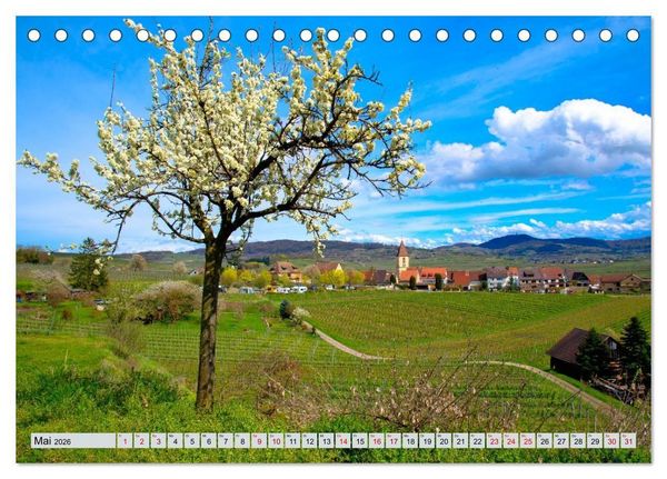 Produktbild: Weinregion Kaiserstuhl (Tischkalender 2026 DIN A5 quer), CALVENDO Monatskalender