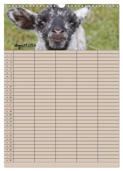 Produktbild: Der bel&auml;mmerte Familienplaner (Wandkalender 2026 DIN A3 hoch), CALVENDO Monatskalender