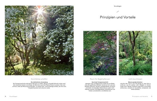 Produktbild: Transparenzschnitt