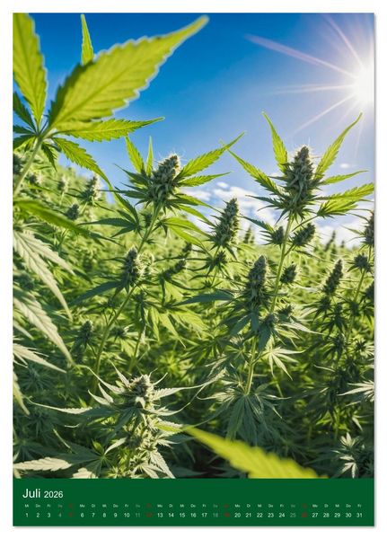 Produktbild: Grow your Year - Der Cannabis Kalender f&uuml;r Fans und Grower (Tischkalender 2026 DIN A5 hoch), CALVENDO Monatskalender