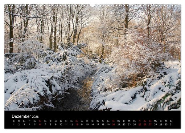 Produktbild: Die vier Jahreszeiten (hochwertiger Premium Wandkalender 2026 DIN A2 quer), Kunstdruck in Hochglanz