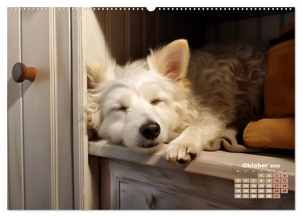 Produktbild: Lieblingsschlafpl&auml;tze (hochwertiger Premium Wandkalender 2026 DIN A2 quer), Kunstdruck in Hochglanz