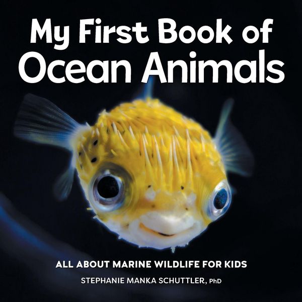 Produktbild: My First Book of Ocean Animals