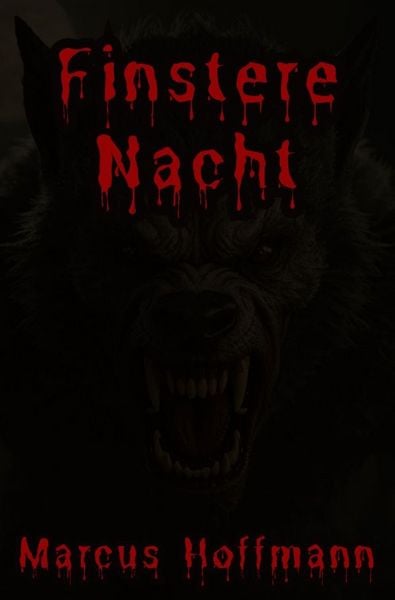 Produktbild: Finstere Nacht