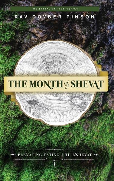 Produktbild: The Month of Shevat