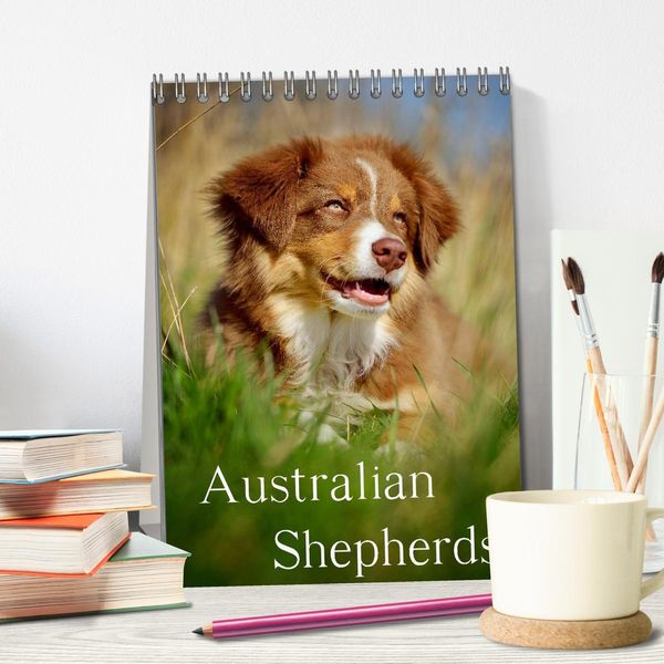 Produktbild: Australian Shepherds (Tischkalender 2026 DIN A5 hoch), CALVENDO Monatskalender