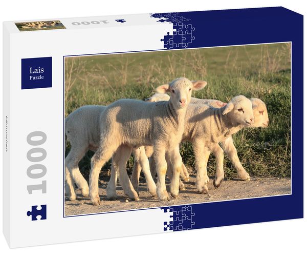 Lais Puzzle Lämmchen 1000 Teile
