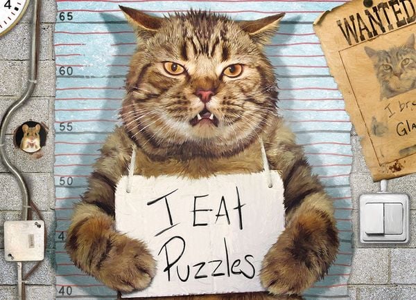 Produktbild: Feline Felon