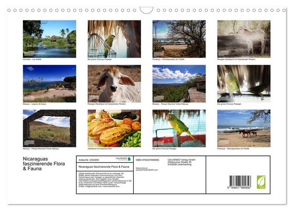 Produktbild: Nicaraguas faszinierende Flora & Fauna (Wandkalender 2026 DIN A3 quer), CALVENDO Monatskalender