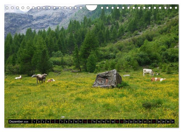 Produktbild: Sulden - S&uuml;dtiroler Bergdorf am Fu&szlig;e des Ortlers (Wandkalender 2026 DIN A4 quer), CALVENDO Monatskalender