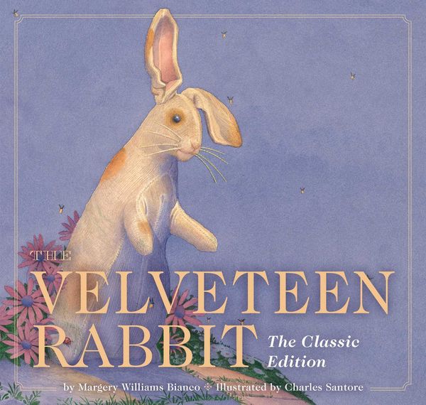 Produktbild: The Velveteen Rabbit