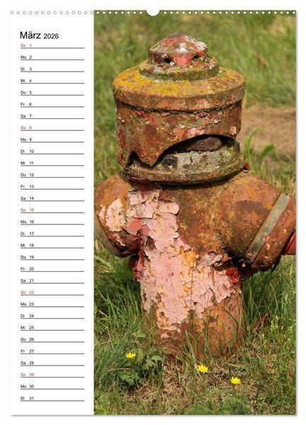Produktbild: Nostalgie Hydranten (Wandkalender 2026 DIN A2 hoch), CALVENDO Monatskalender