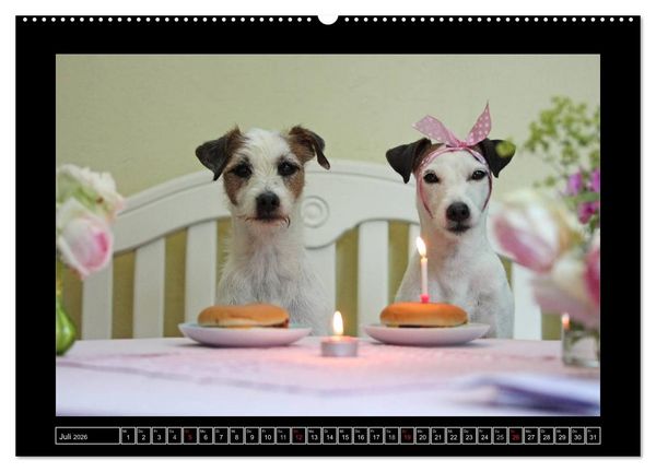 Produktbild: Parson Russell Terrier (hochwertiger Premium Wandkalender 2026 DIN A2 quer), Kunstdruck in Hochglanz