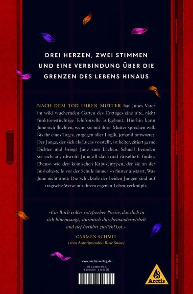 Herzklangstille, Gebundene Ausgabe von Julia Dessalles, Arctis ein Imprint der Atrium Verlag AG