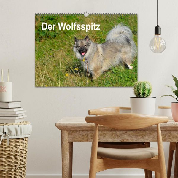 Produktbild: Der Wolfsspitz (Wandkalender 2026 DIN A3 quer), CALVENDO Monatskalender