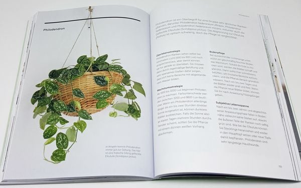 Produktbild: Gr&uuml;nes Zuhause