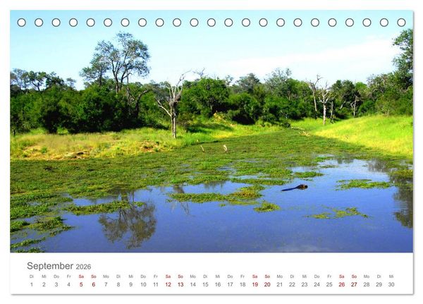 Produktbild: Safari / Afrika (Tischkalender 2026 DIN A5 quer), CALVENDO Monatskalender