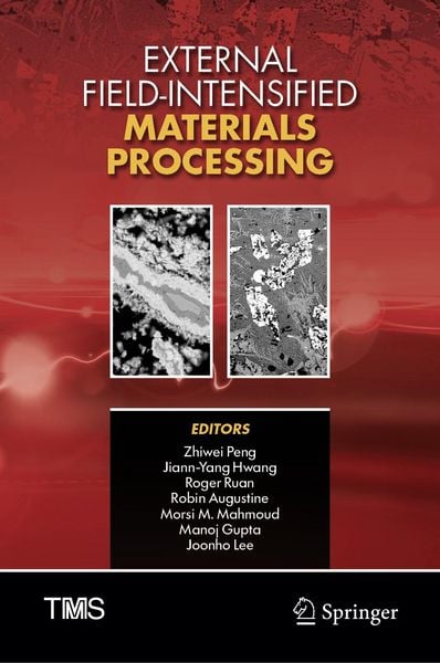 Produktbild: External Field-Intensified Materials Processing