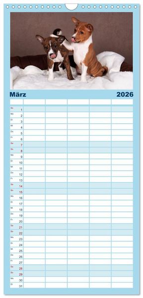 Produktbild: Familienplaner 2026 - Basenji-Sch&ouml;nheiten mit 5 Spalten (Wandkalender, 21 x 45 cm) CALVENDO
